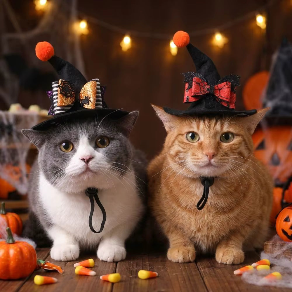 Halloween's Adjustable Sequin Witch Hat for Pets with Strap