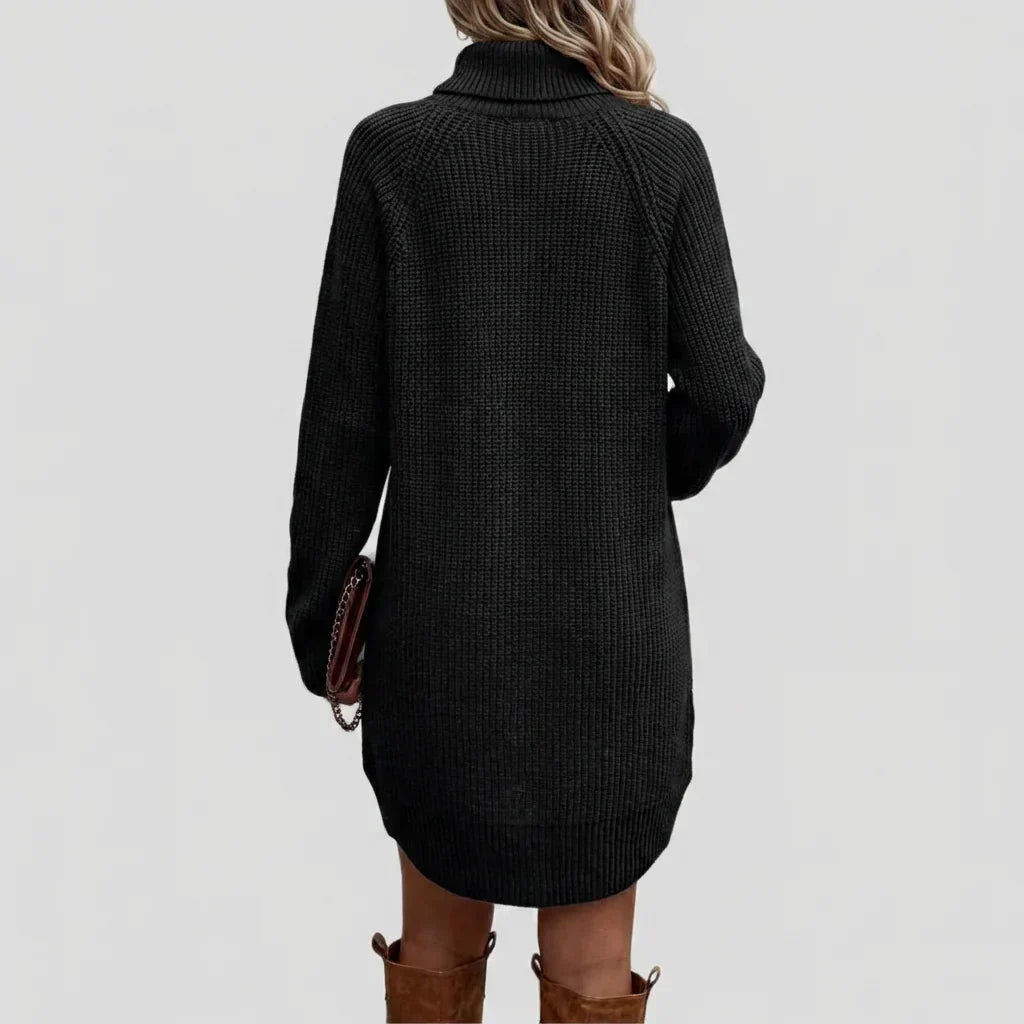 Women's Turtleneck Ribbed Sweater Dress