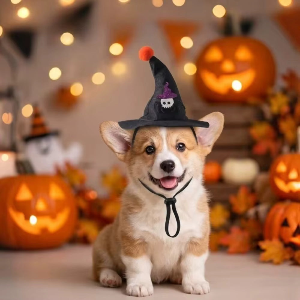Halloween's Adjustable Sequin Witch Hat for Pets with Strap