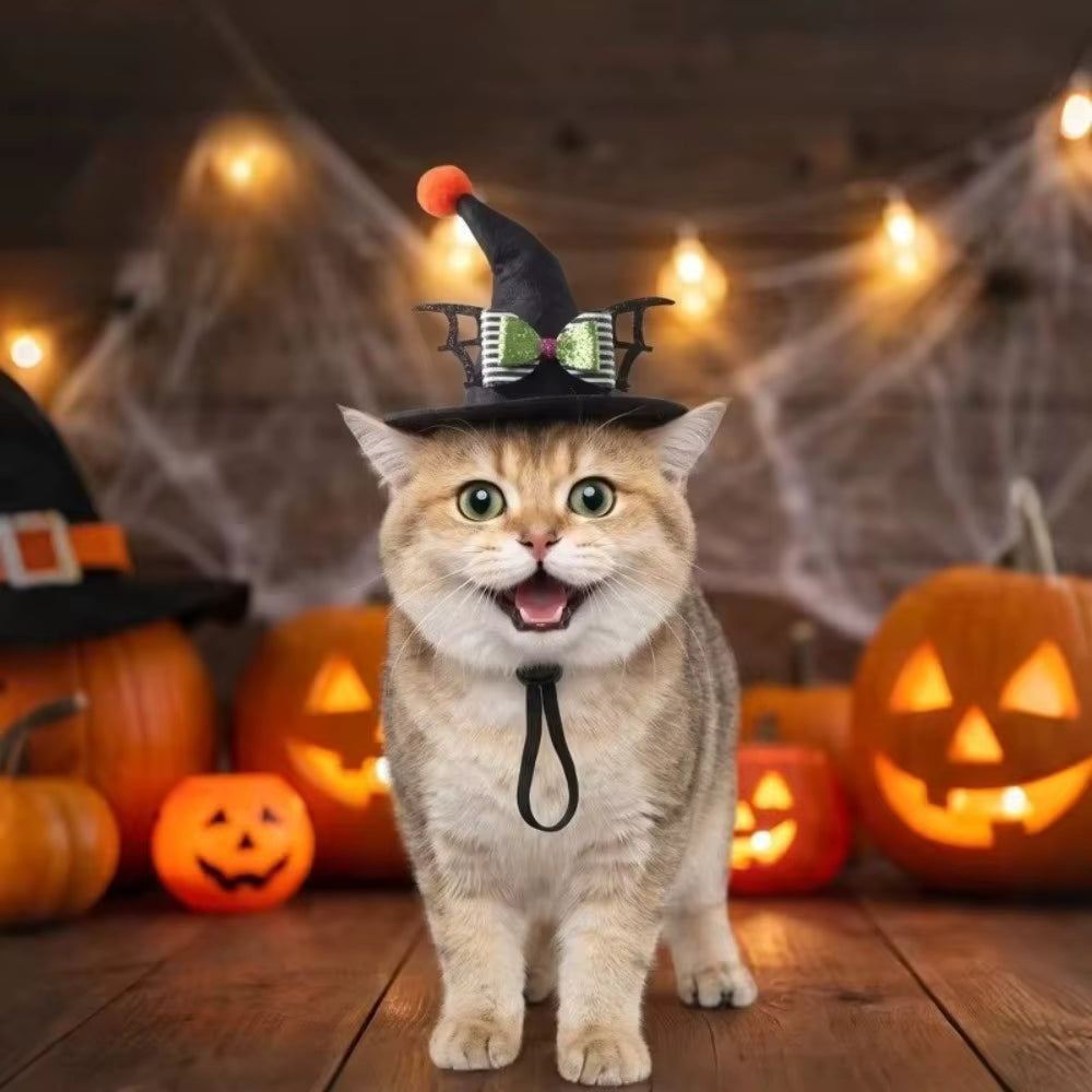 Halloween's Adjustable Sequin Witch Hat for Pets with Strap
