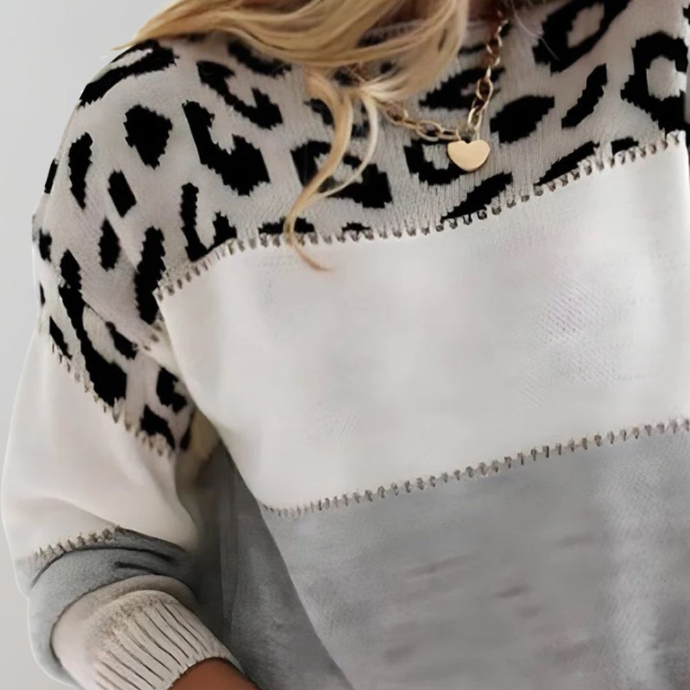 Women's Animal Print Colorblock Crew Neck Sweater, Long Sleeves