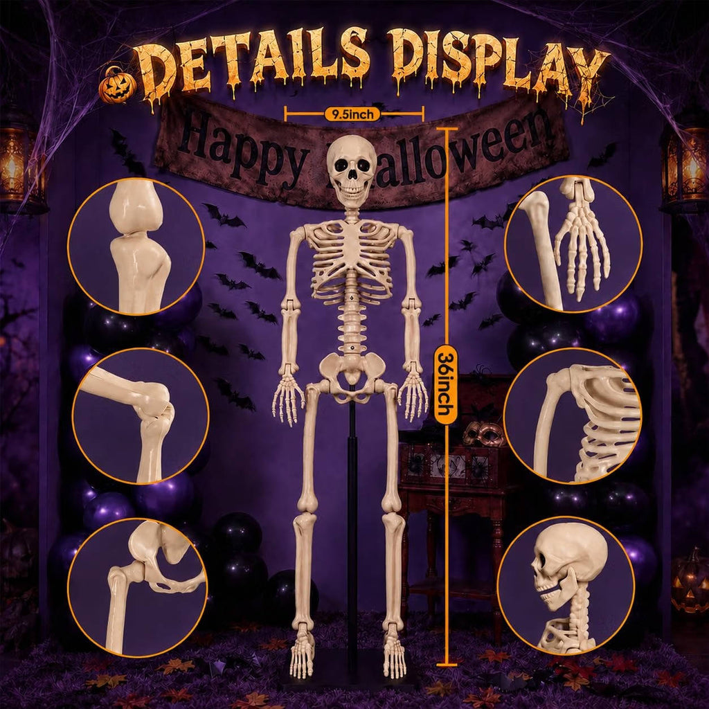 Halloween's 2 Pack 36 Inch Movable Joint Skeleton Decorations