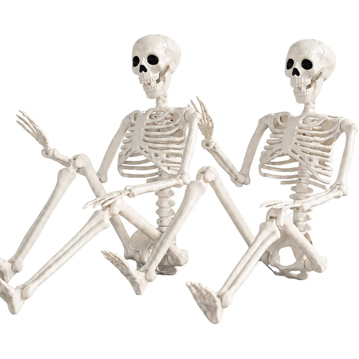 Halloween's 2 Pack 36 Inch Movable Joint Skeleton Decorations