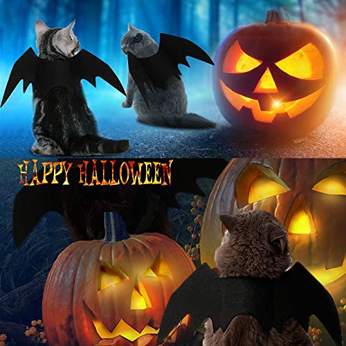 Halloween's Bat Wings Costume Accessory for Cats and Small Dogs