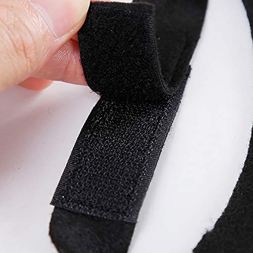 Halloween's Bat Wings Costume Accessory for Cats and Small Dogs