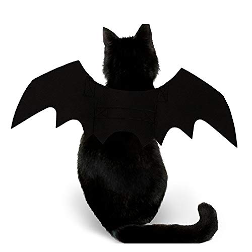Halloween's Bat Wings Costume Accessory for Cats and Small Dogs