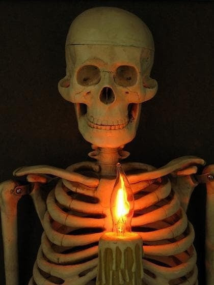 Halloween's Framed Skeleton Torso Wall Decor with Flashing Candle Light