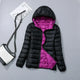 Black Purple Multicolor