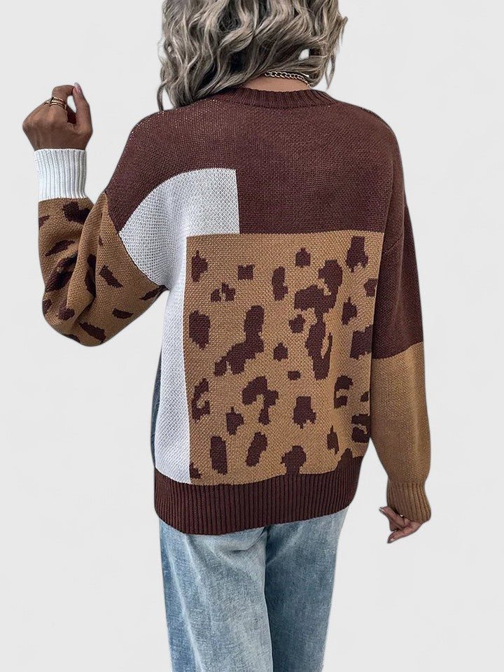 Dina | Color-Block Leopard Knit Sweater for Women