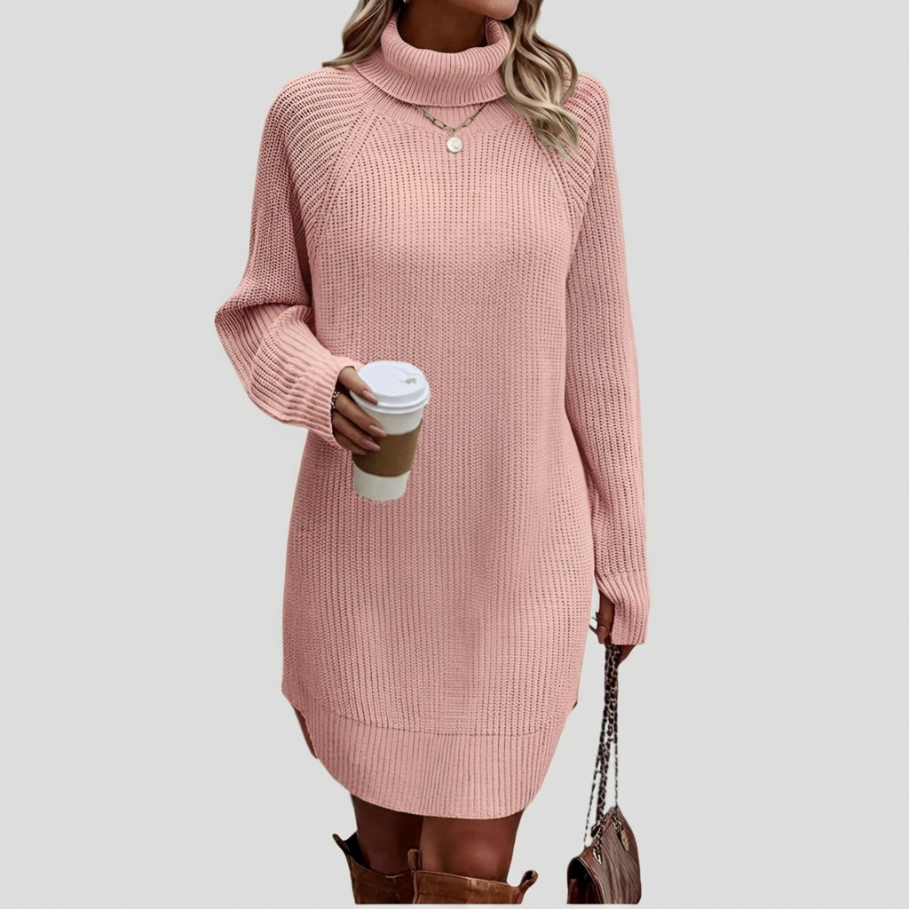 Women's Turtleneck Ribbed Sweater Dress
