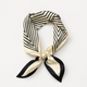 Chevron Stripe